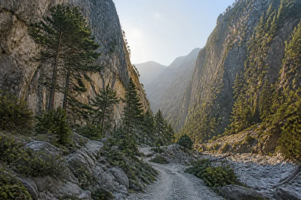 A rocky walking path winding between the limestone walls and pine trees of Samaria Gorge