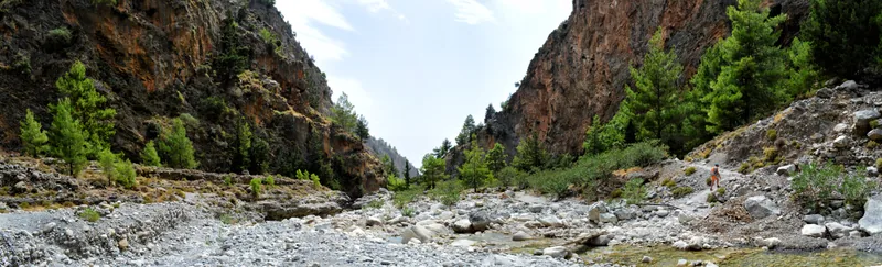 The floor of the Samaria Gorge: a dry, stony riverbed between steep reddish rock walls with pines on the ledges.