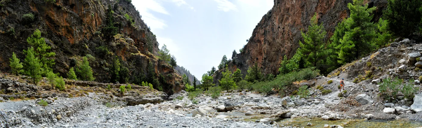 The floor of the Samaria Gorge: a dry, stony riverbed between steep reddish rock walls with pines on the ledges.